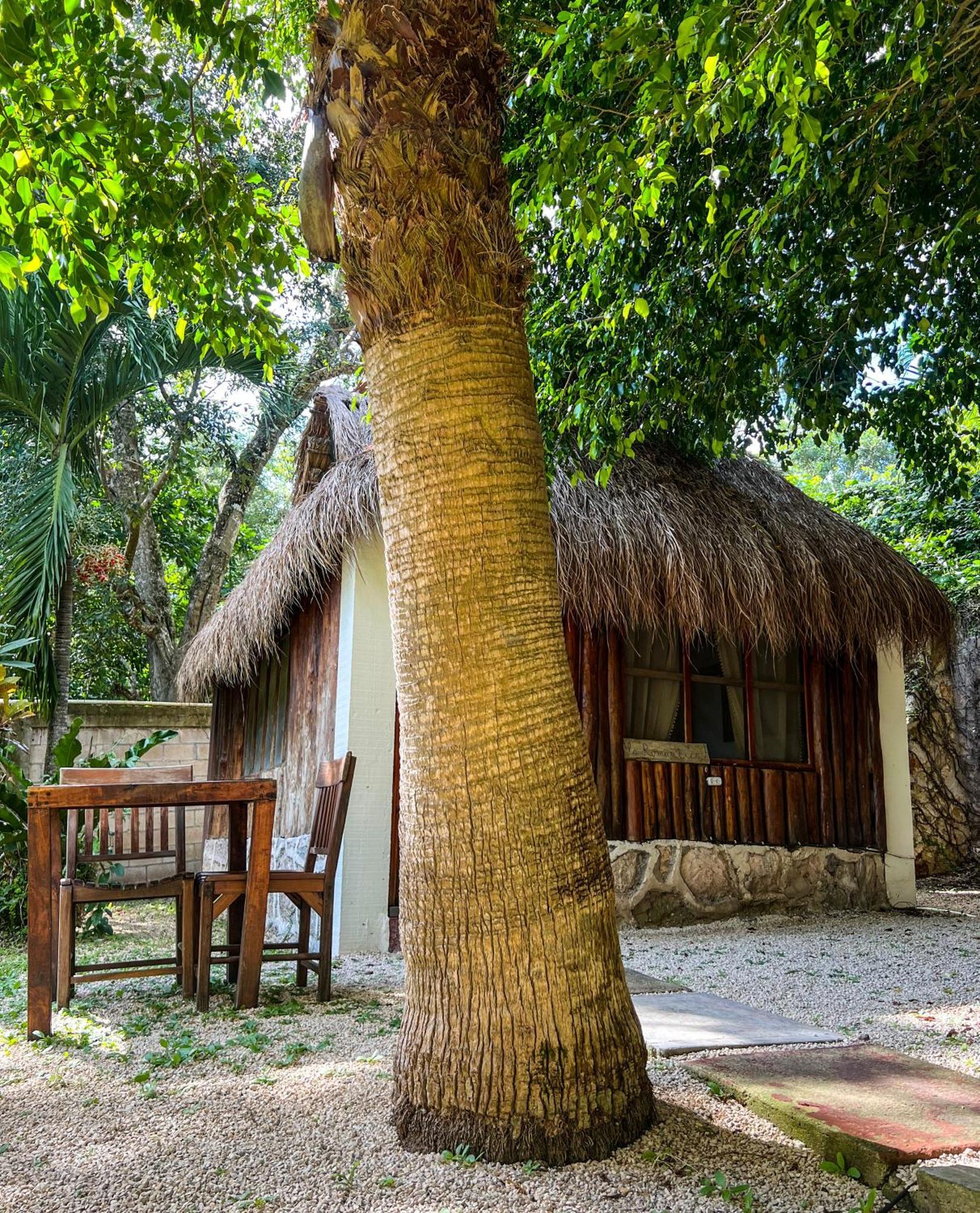 Villa Santuario Lake Front Oasis Bacalar Extérieur photo